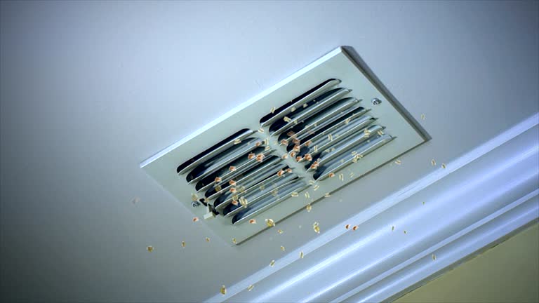 Affordable HVAC Duct Cleaning in Punaluu, HI