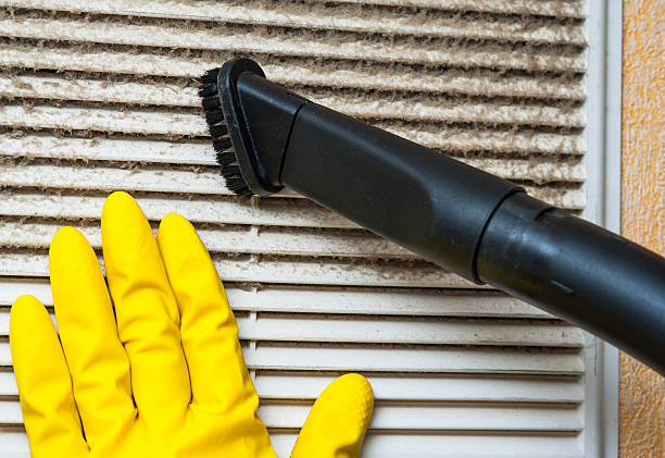 Best Affordable Air Duct Cleaning  in Punaluu, HI